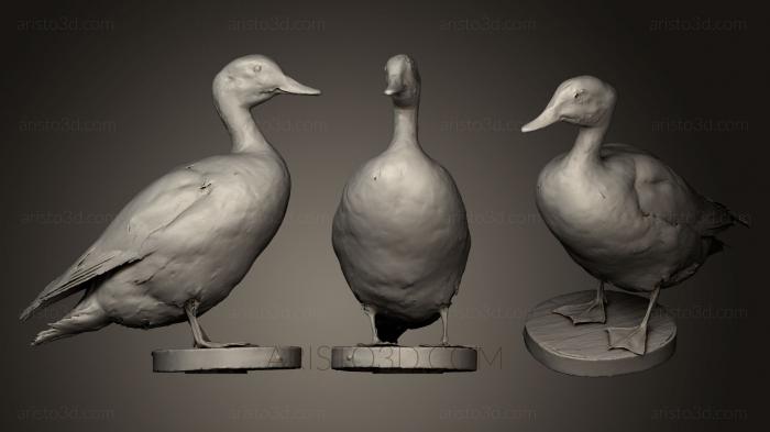 Bird figurines (STKB_0151) 3D model for CNC machine